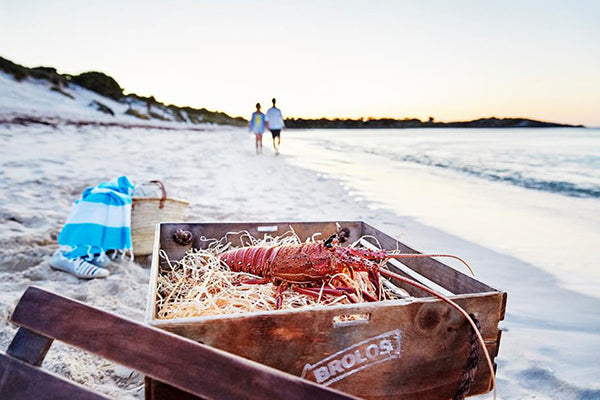 Live West Australian Lobster