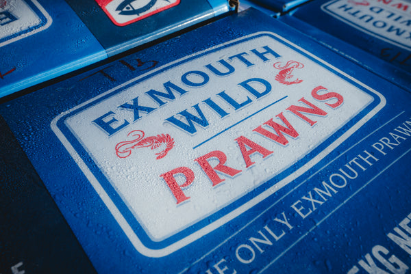 Exmouth Raw Tiger Prawn xLarge (13/15) 5kg