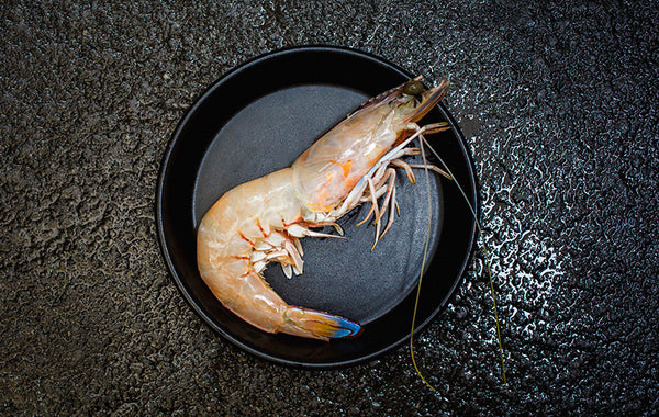 Shark Bay King Prawns Raw (5kg) 9/12 XXLarge
