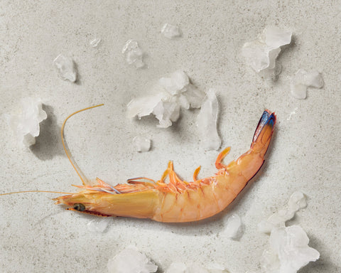 Shark Bay King Prawns Raw (5kg) 9/12 XXLarge