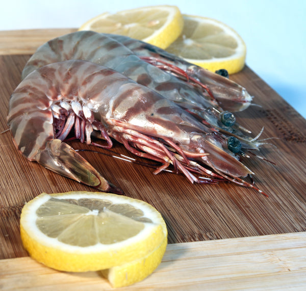 Shark Bay Tiger Prawns Cooked (5kg)