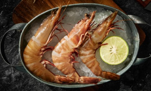 Exmouth Raw Tiger Prawn xLarge (13/15) 5kg