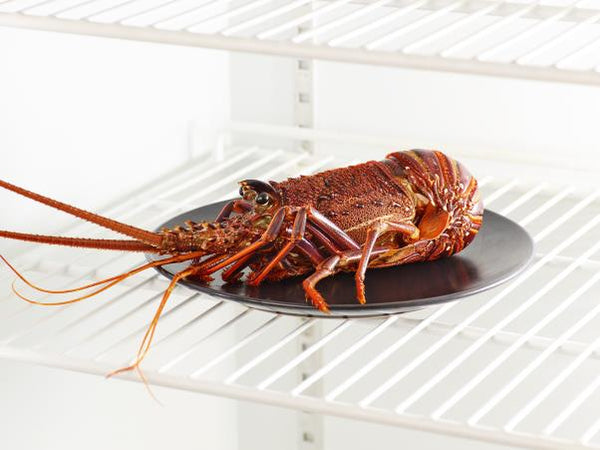 Frozen Whole Raw West Australian Lobster